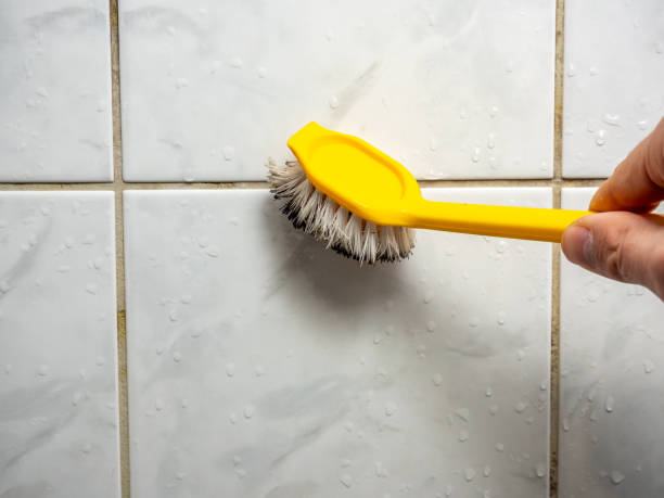 Best Commercial Mold Removal  in Johnsburg, IL