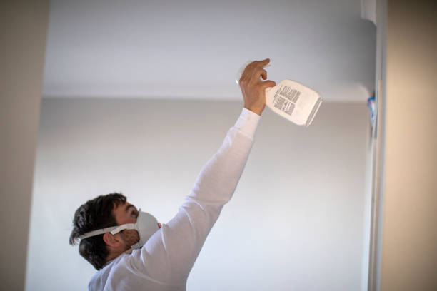 Best Local Mold Removal Service  in Johnsburg, IL
