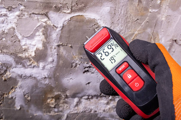 Best Residential Mold Removal  in Johnsburg, IL