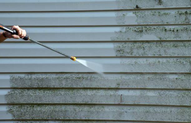 Best Mold Damage Repair  in Johnsburg, IL