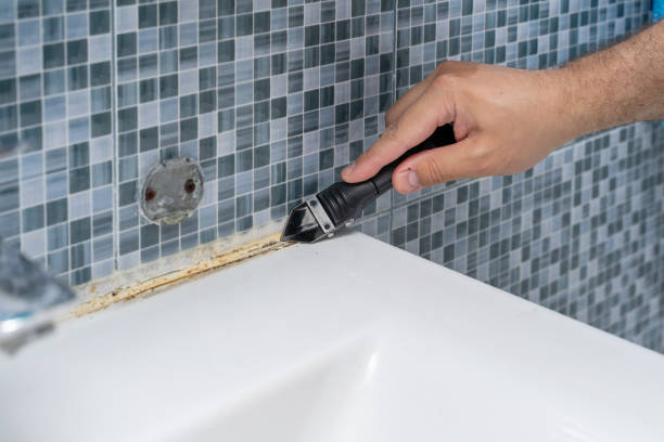 Best Affordable Mold Removal  in Johnsburg, IL